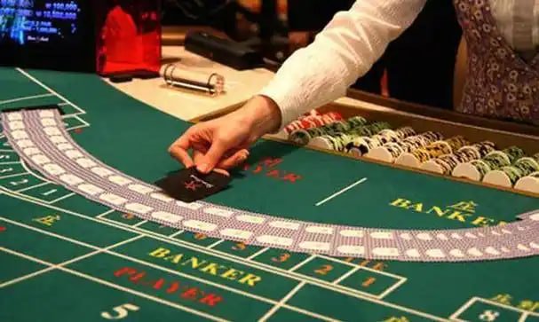 AYY777 Live Baccarat ဒိုင်လာနှင့် ကဒ်ပုံးများ